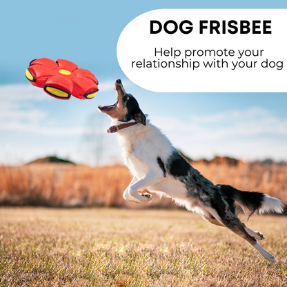 Brand Name™ Dog Frisbee